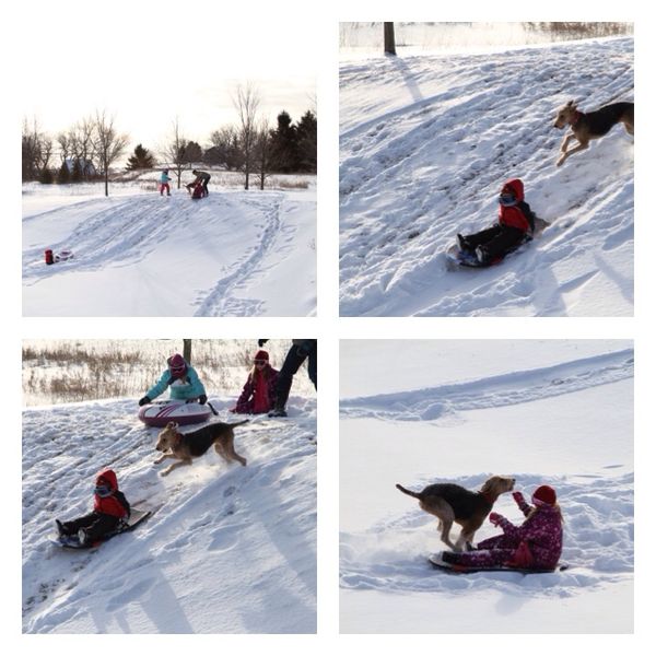 Sledding at home with our Grandchildren...