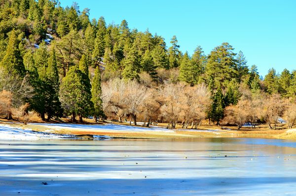 Winter at Jackson Lake...