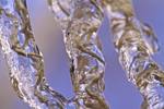 Ice Formation on branches...