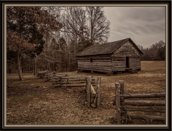 Variant on Gloomy Day at Shiloh Battlefield...