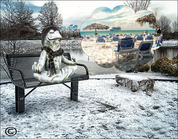A Balmy 32 Degrees: I'm trying my best to think warm thoughts.