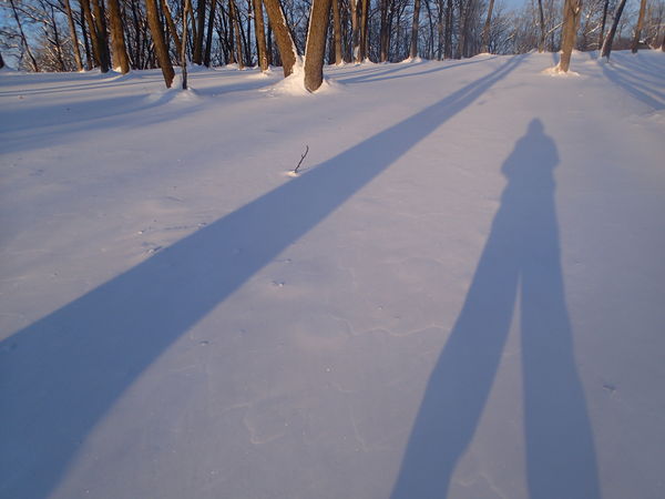 Seeing my Shadow the Day Before Groundhog Day...