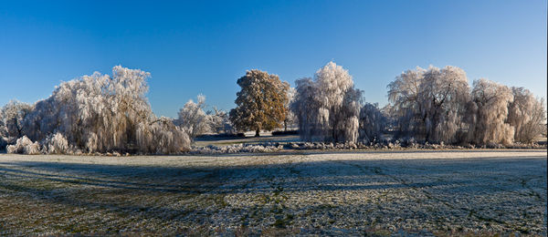 and finally a Frosty Panorama...