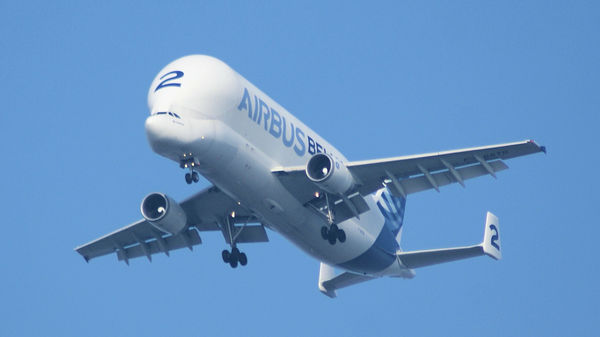 Airbus Guppy...