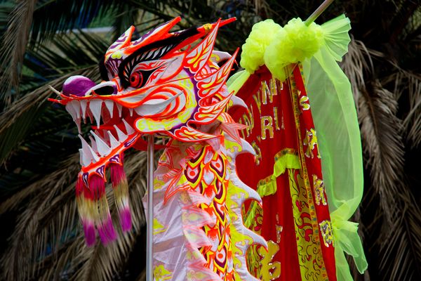 chinese new year hurstville 2025