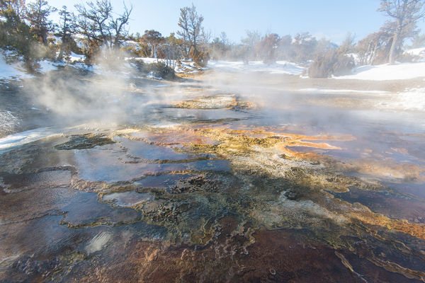 Mammoth Hot Springs Riot of Colors...