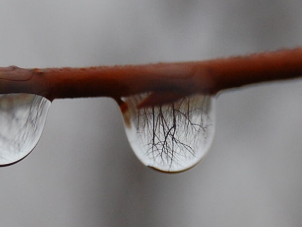 A simple reflection in a rain drop...