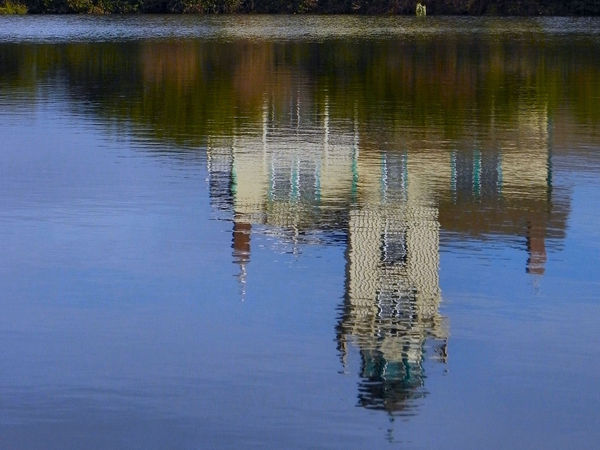 Pond Reflection...