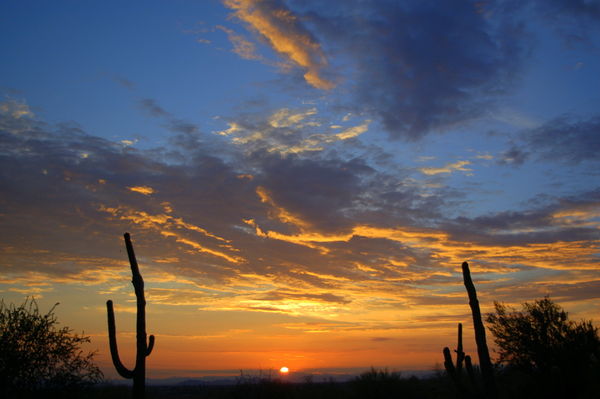 Sunrise in scottdale AZ....