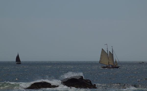 Sailing off the coast of Maine...