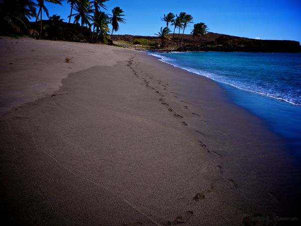 Footprints in the sand - homeward bound...