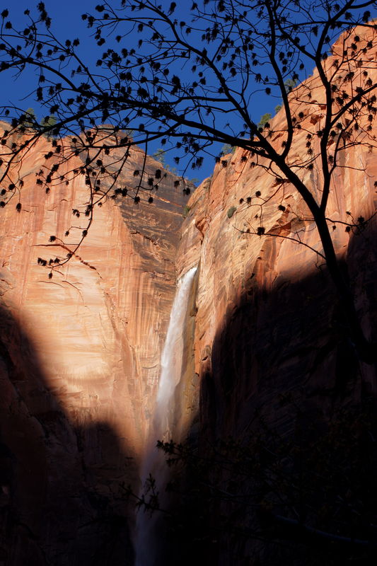 While hiking early in the morning in zion we came ...