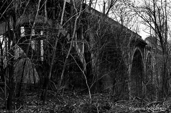 Bridge Forgotten...