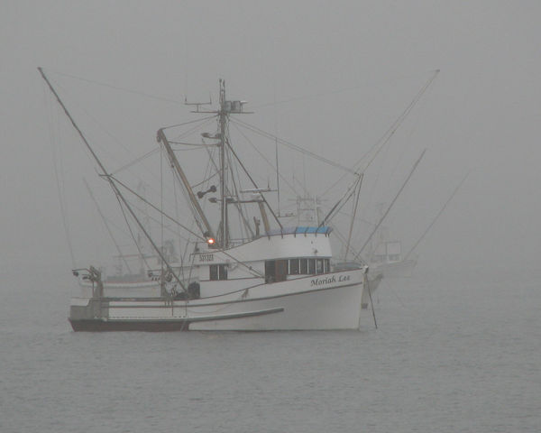 Trawler in the fog...
