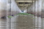 Under the 1-10 Atchafalaya Bridge in Louisiana (18...