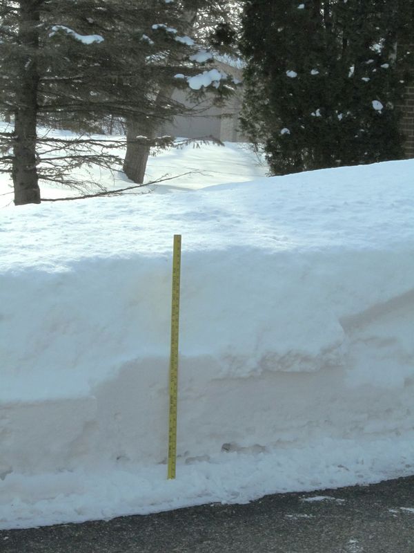 My driveway - Yes that is a yard stick...