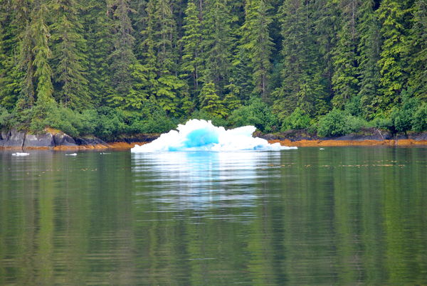 Floating Blue Ice...
