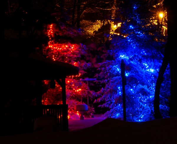 Lights In The Spruce Trees-Tripod, 8 sec., ISO 100...