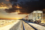 Mojave Train...