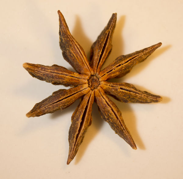 Star Anise with 18-55mm Nikkor lens and Kenko tube...