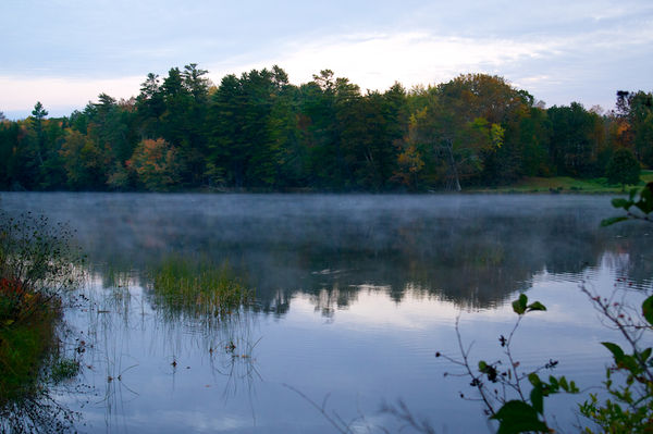Morning mist dances on the river's surface...
