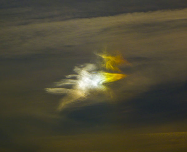 Sun Dog Clouds...
