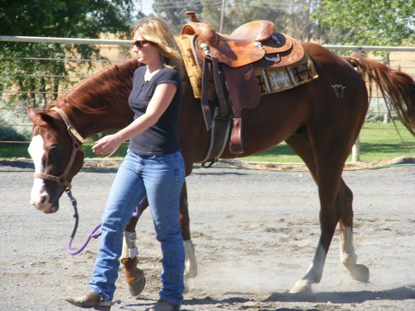 Granddaughter training her horse....
