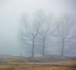 A foggy day in Woodmere NY...