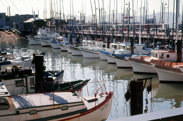 Fisherman's Wharf...