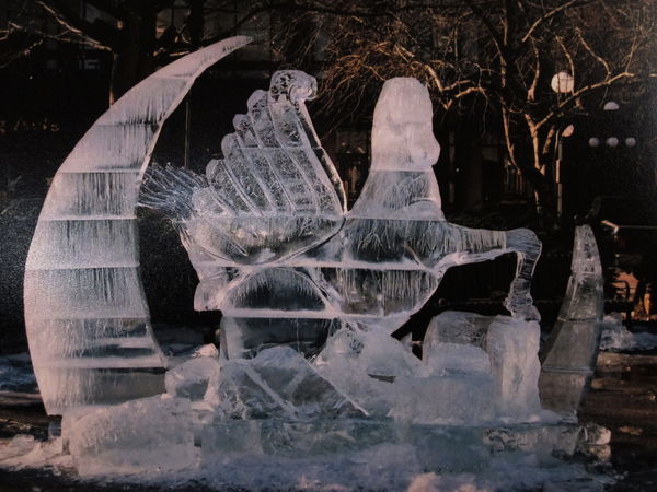 Ice sculpture from glossy photo...