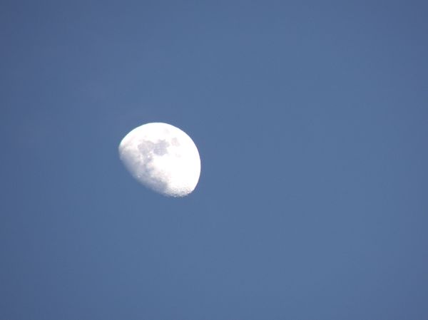 Moon on the Rise...