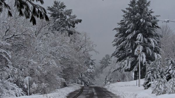 From Our Driveway -April 23 20113...