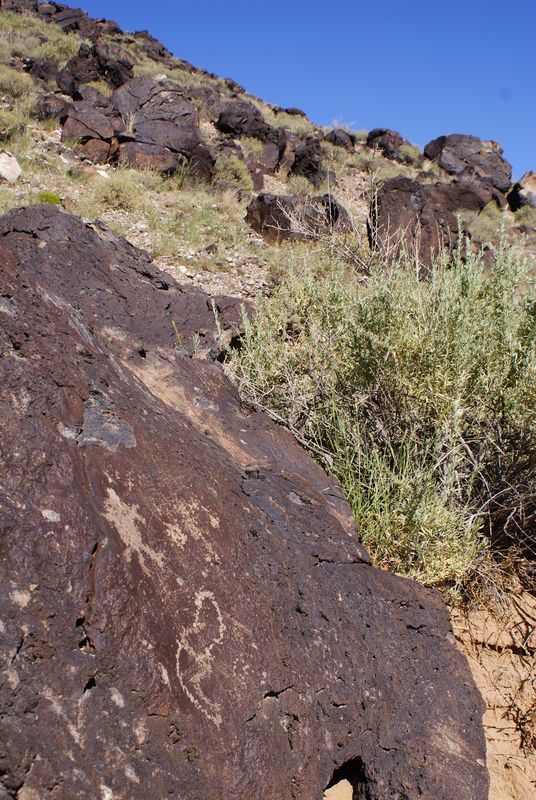 Petroglyph National Monument...