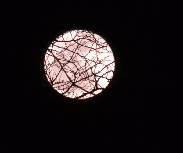 moon1...