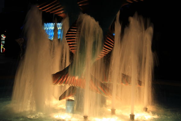 #5 Another view of the lighted fountains, 1 of my ...