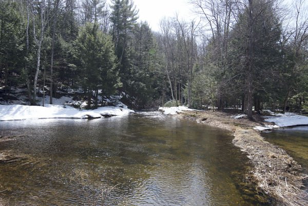 Some Early Spring-Time Shots of New Hampshire: Hi All; I'd really ...