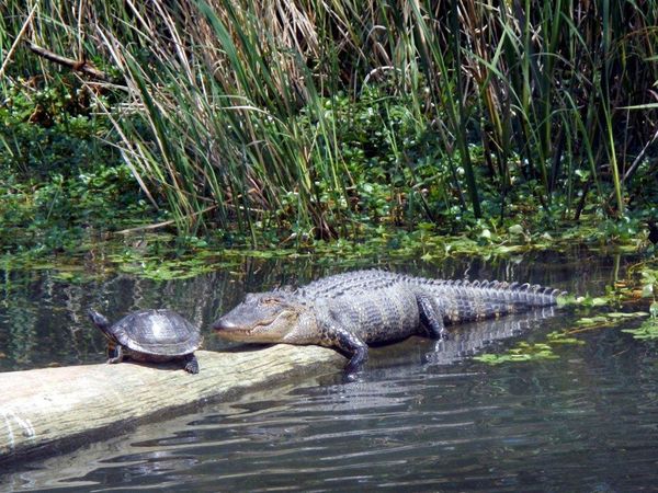 fishing-on-lake-moultrie-south-carolina-my-husband-went-fishing-monday