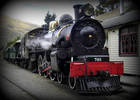 Kingston Flyer; This beautiful vintage steamtrain ...