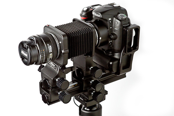 Nikon PB-6 Bellows with reversed Nikkor 50-mm lens...