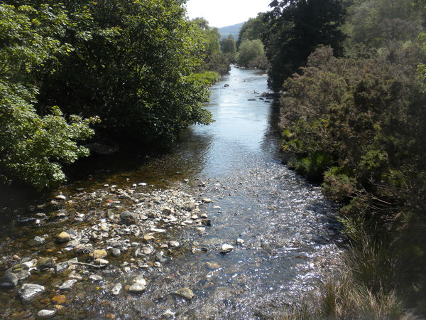 Stream at Glendalough Ireland...