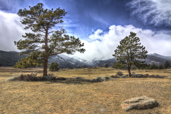 Moraine Park in Rocky Mountain National Park 2...