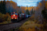 Autumn Train..coming 'round the bend....