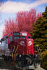 A big red engine on a beautiful spring day!...