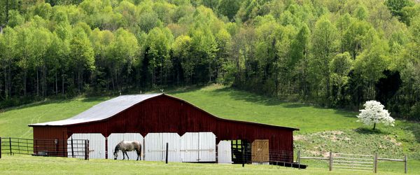 My bud, BJ, and his barn...