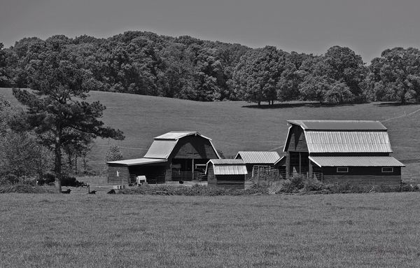 One of my favorite old, but working barns...