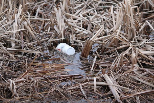 after the ice melts on the marsh..Alaska...