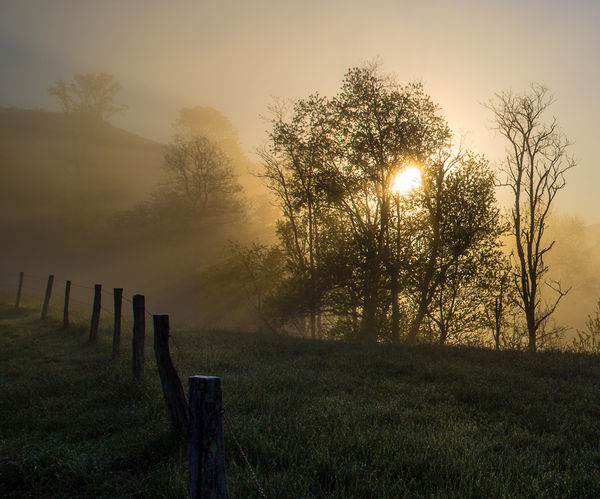 Golden Morning in Cades Cove...
