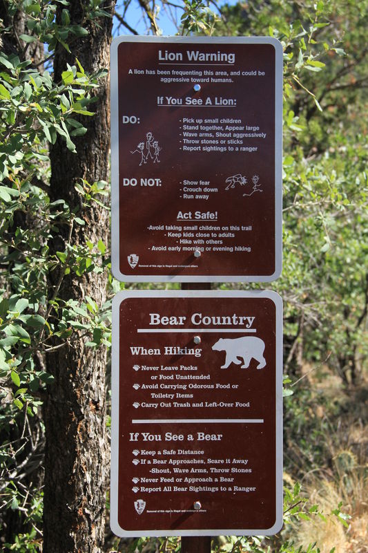 We did not see any mountain lions or bears, only a...