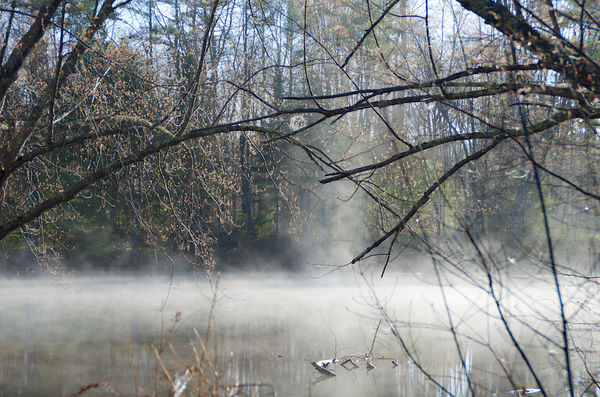 Mist along the river. Web "Bulls-eye"...