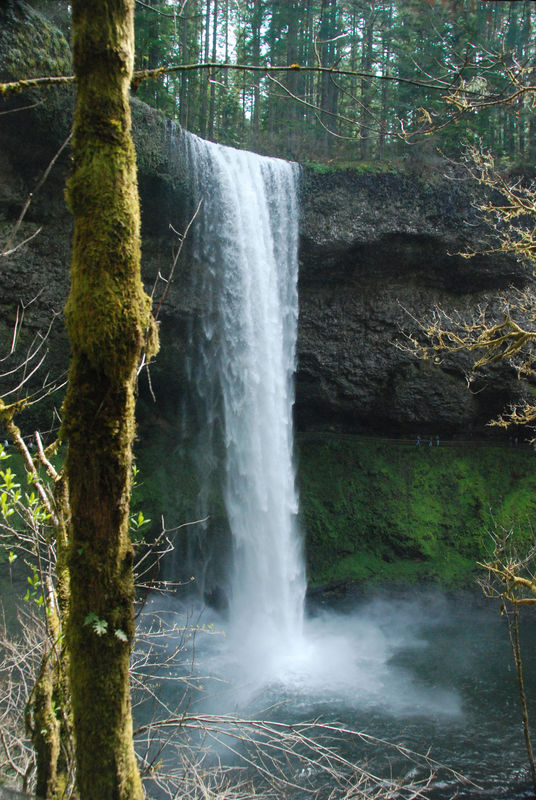 One of my shots of a waterfall at Silver Falls (no...